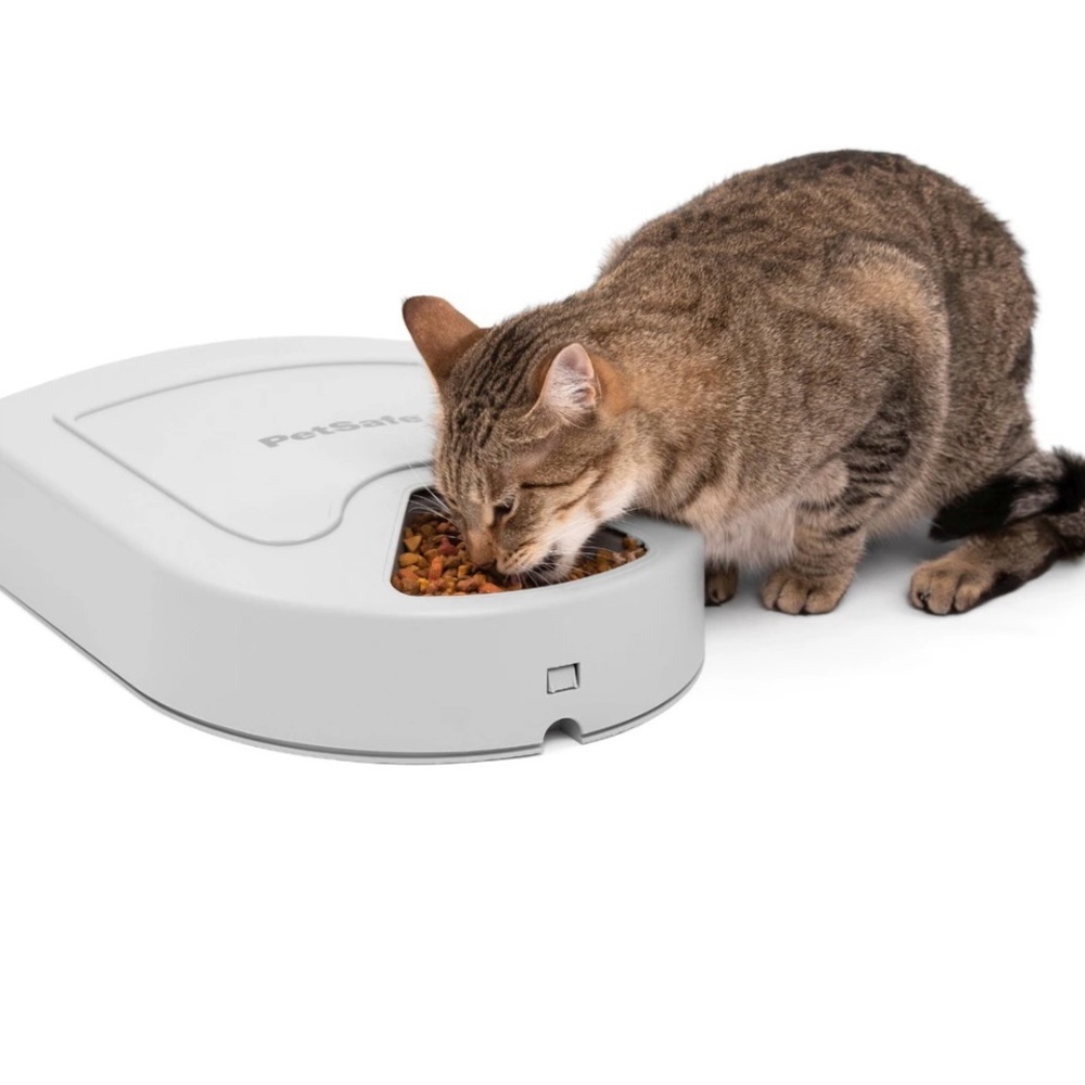 PetSafe Gray Cat Feeder